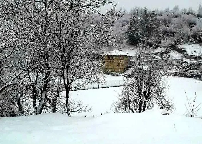 Kır Evi Perule 2 перуле